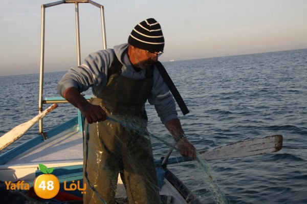 sayyadnewyaffa3 (58).JPG